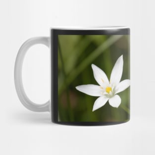 Star Of Bethlehem Mug